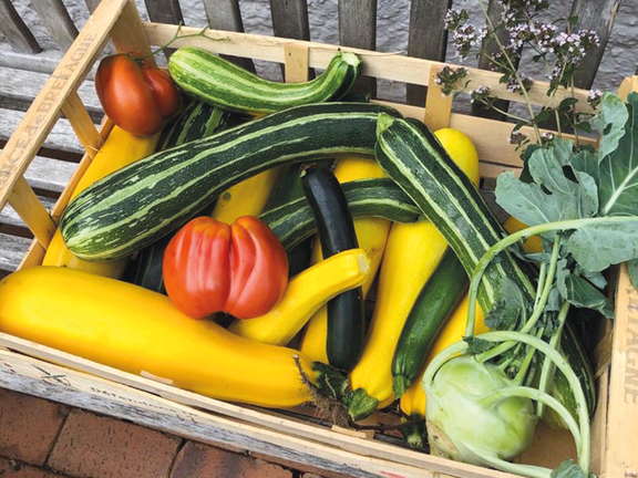 Frisches Gemüse aus dem eigenen Garten – ein Genuss!